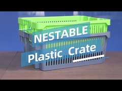 Trang chủ Hàng hóa Thùng nhựa đa dụng để lưu trữ trái cây và rau quả hiệu quả