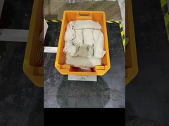 Máy xử lý PP nhựa hộp chuyển nhượng Nesting xếp chồng lưu trữ Nesting thùng nhựa