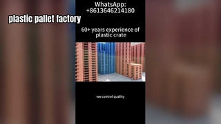 Sản xuất Pallet nhựa với tùy chọn màu sắc tùy chỉnh