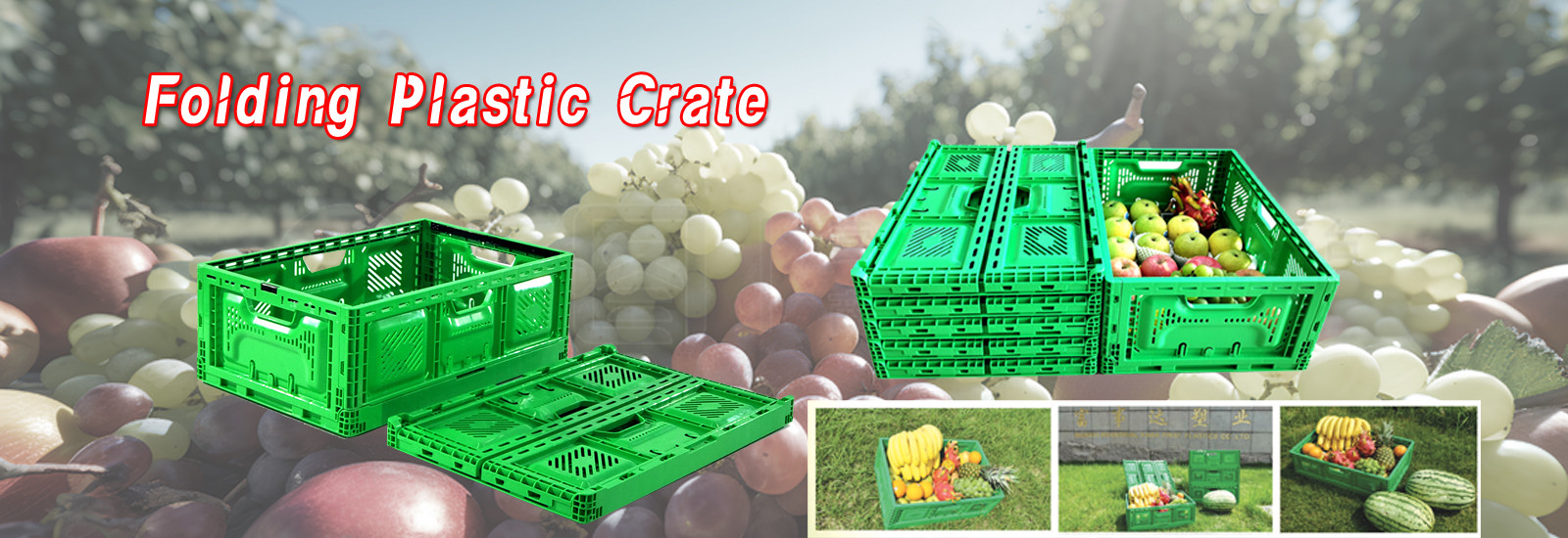 chất lượng Thùng nhựa có thể gập lại nhà máy sản xuất