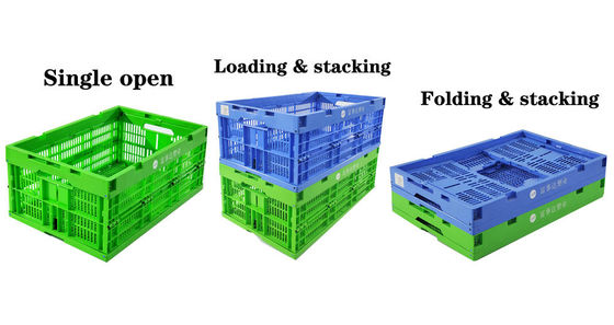 Mua Hộp nhún nhựa bao bì xuất khẩu Hộp di chuyển thùng chứa Hộp gấp Thiết kế xếp chồng sản xuất trực tuyến