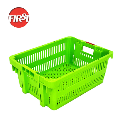 505*370*210mm hộp nhựa để lưu trữ rau và trái cây thiết kế bền