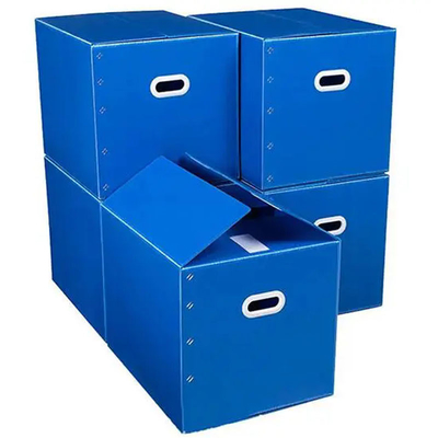 Hộp nhựa lượn có thể gập lại Pp